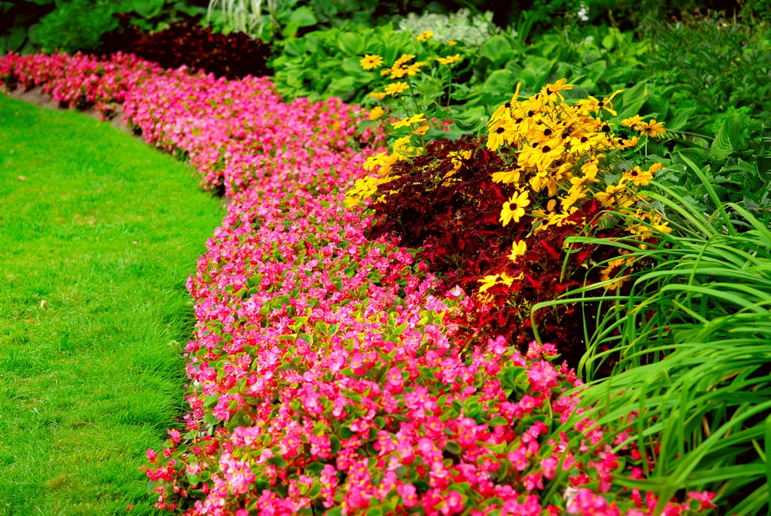 Discover the potential of your hospital’s outdoor area