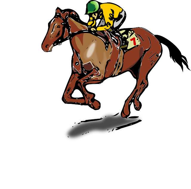 Meads’ Family Race Night 2017 – Romford