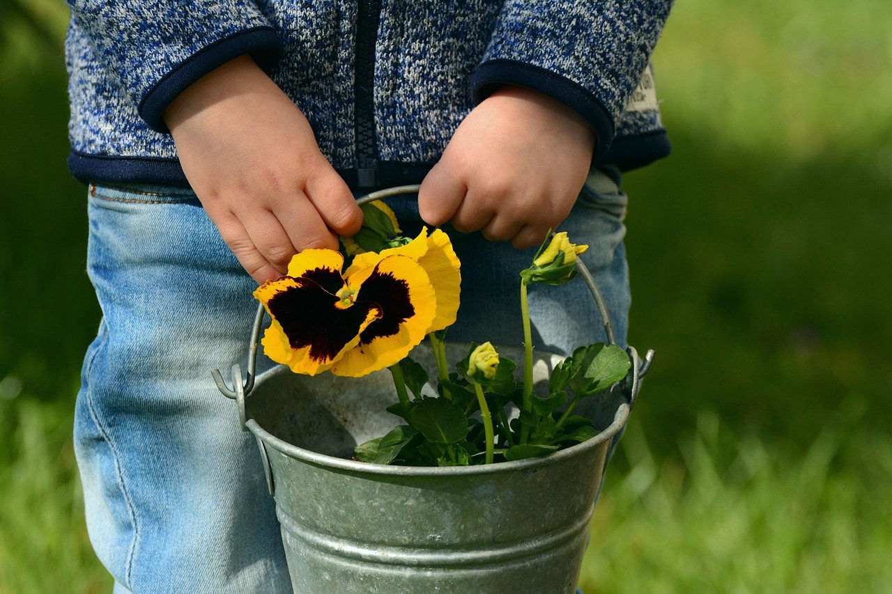 Plant Power: Planting Flowers & Vegetables in Schools