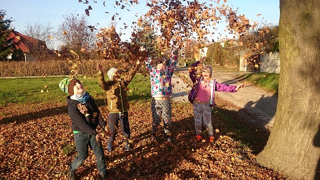 Five Outdoor Activities That Can Help Children Learn About Nature