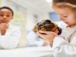Benefits Of A Class Pet