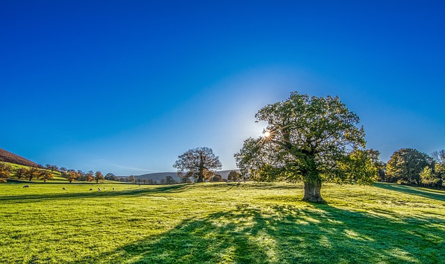 How to Protect Children from the Summer Sun