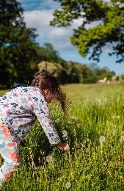 Ways to Encourage Environmental Citizenship at Your School