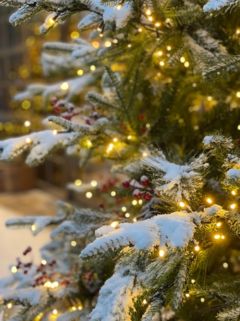 Christmas Outdoor Learning Ideas for Schools